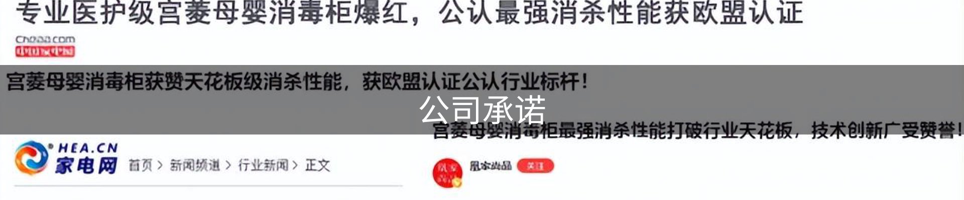 公司承诺